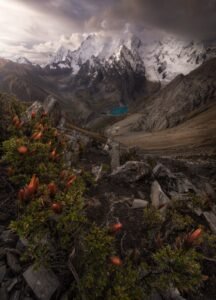 Scenic & Nature Photography